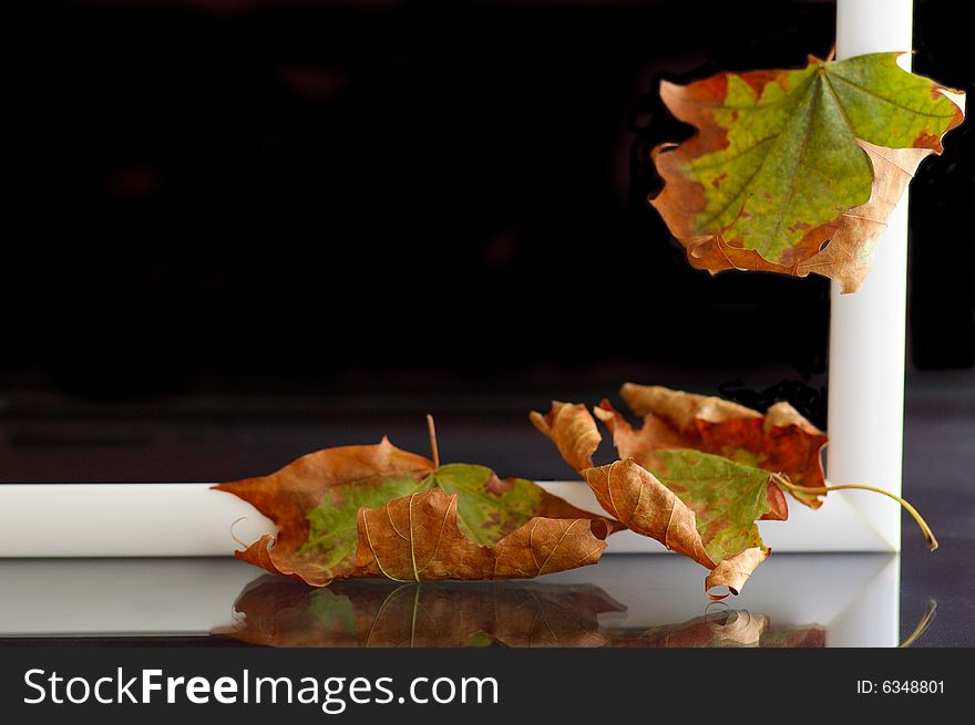 Frame with autumnal leaves against the black background