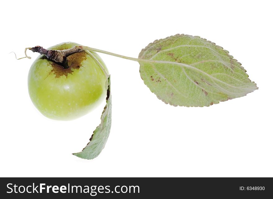 Apple isolated on white background.