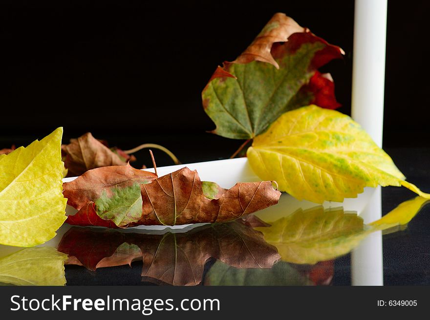 Frame with autumnal leaves against the black background. Frame with autumnal leaves against the black background