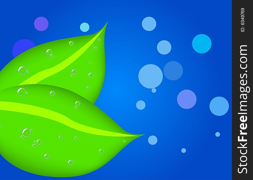 Two leaves with dew, vector illustration