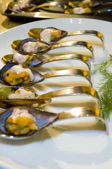 Mussel Starter Royalty Free Stock Photo Mussel Starter Royalty Free Stock Photo