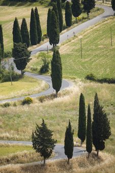 TUSCANY Countryside, Devious Street With Cypress Royalty Free Stock Images TUSCANY Countryside, Devious Street With Cypress Royalty Free Stock Images