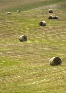 Tuscany Countryside, Hayball Royalty Free Stock Image Tuscany Countryside, Hayball Royalty Free Stock Image