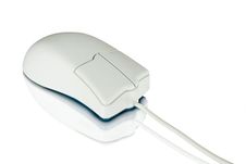 White Computer Mouse Stock Photography