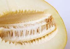 Half Of Melon Royalty Free Stock Images