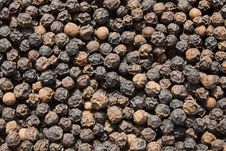 Black Pepper Royalty Free Stock Photography