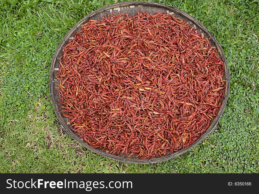 Chilli, hot spice, for drying in the pan