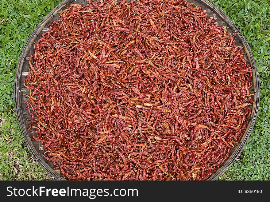 Chilli, hot spice, for drying in the pan