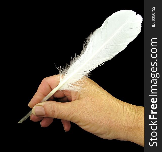 Swan Feather