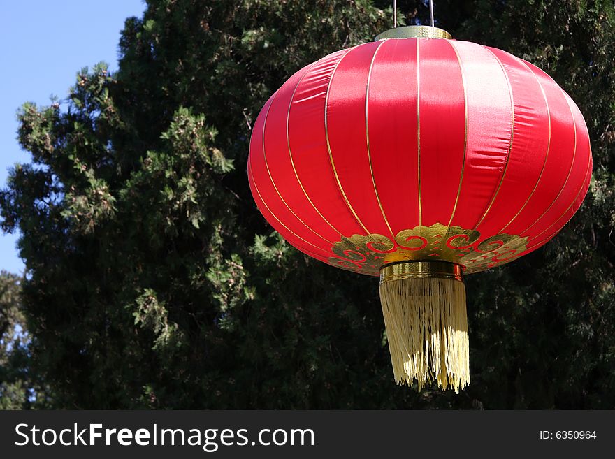 Traditional red lantern hanging from a tree