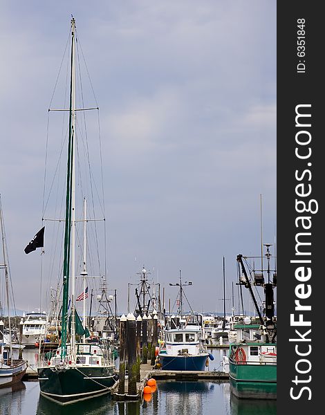 Green Boats At Harbor