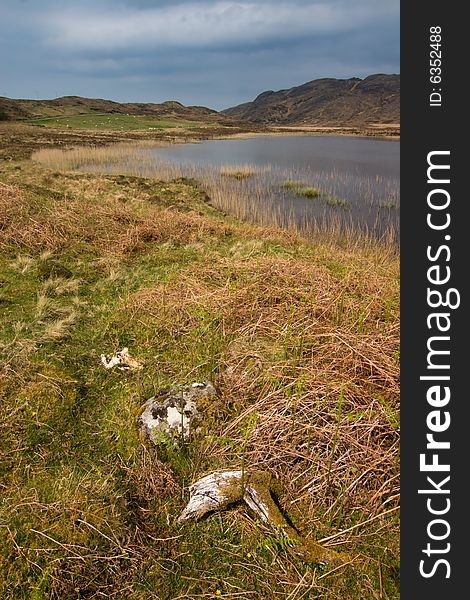 Lake In Scotland