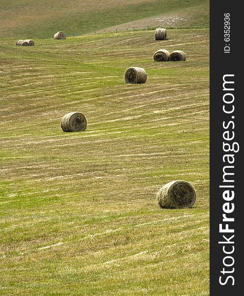 Tuscany countryside, hayball
