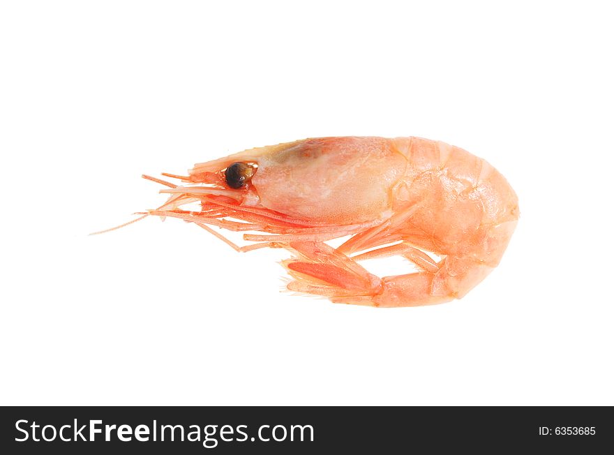 Shell on North Atlantic prawn isolated on white. Shell on North Atlantic prawn isolated on white