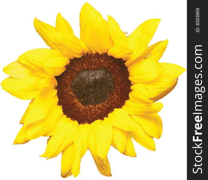 A  illustration of a sunflower.