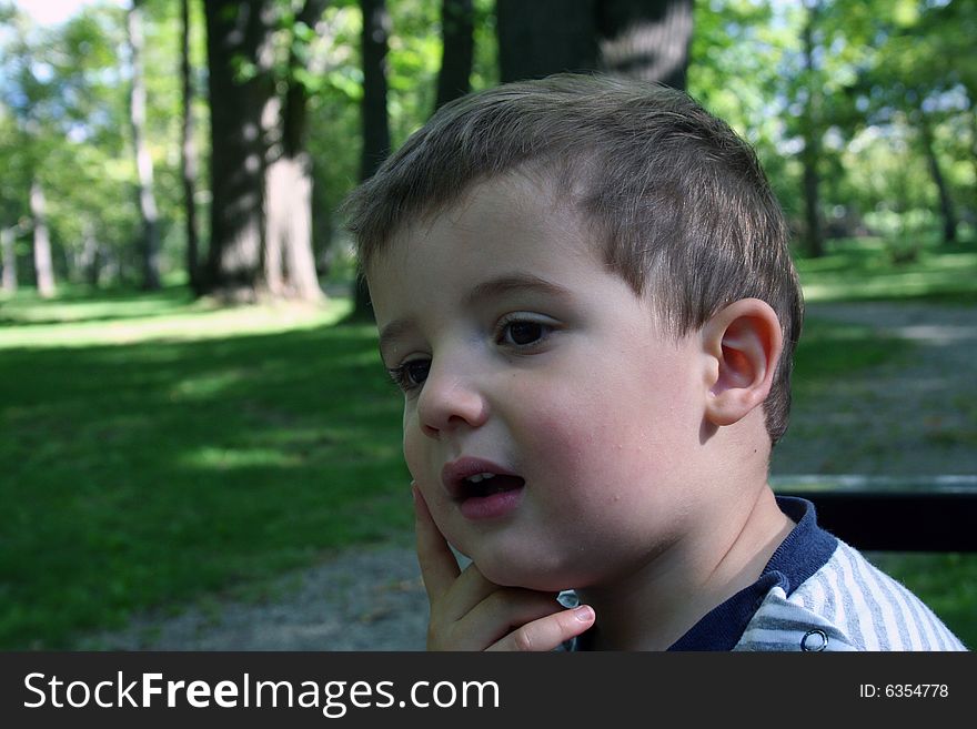 Small boy in a forest thinking. Small boy in a forest thinking