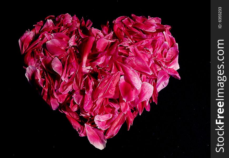 Heart made of petals on black background. Heart made of petals on black background