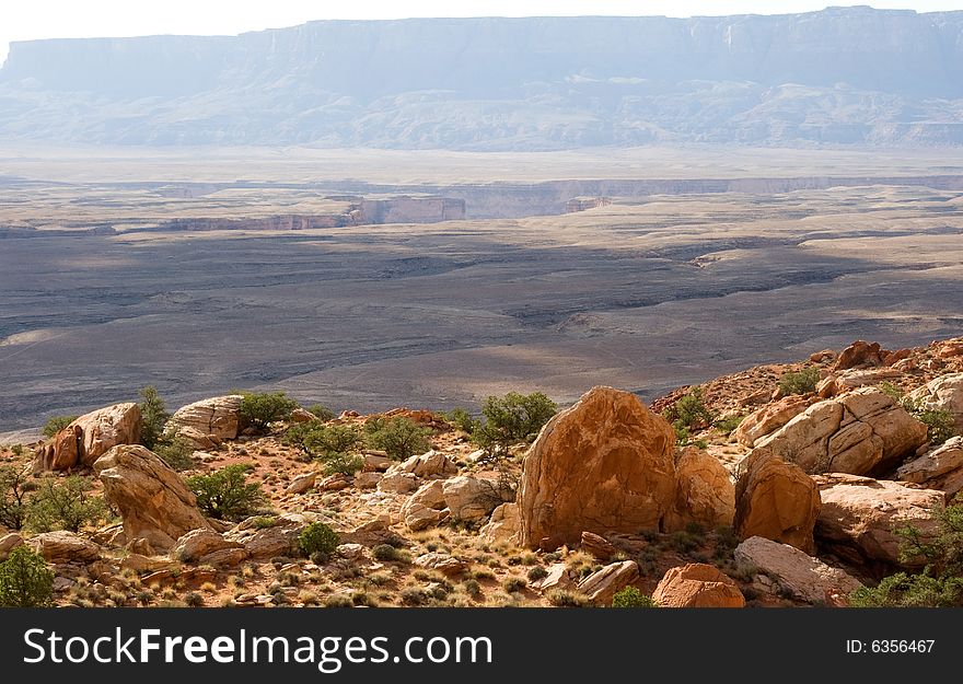 Arizona Desert