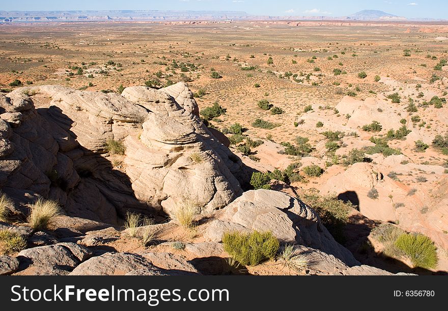 The grass in the Arizona desert