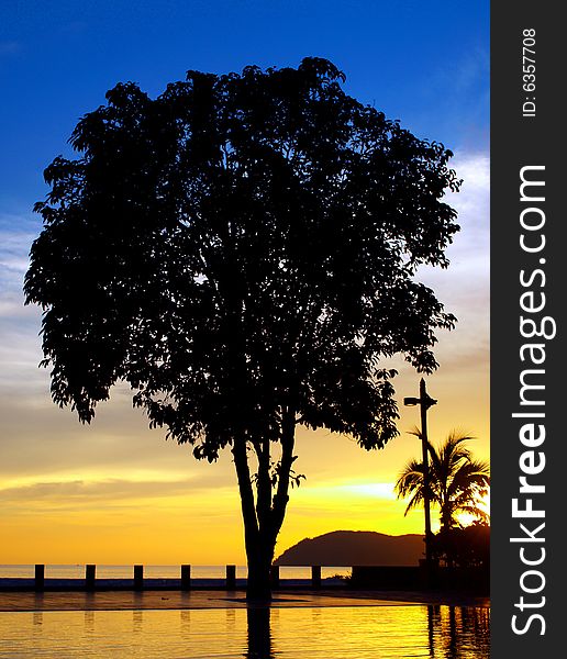 Tree silhouette by Pool during sunset at holiday resort