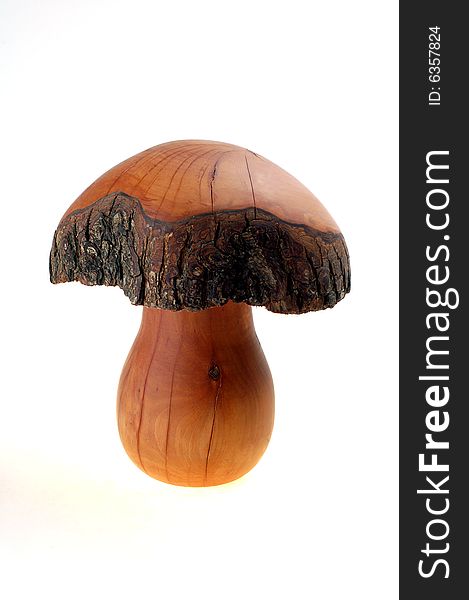 One Big brown wood mushroom