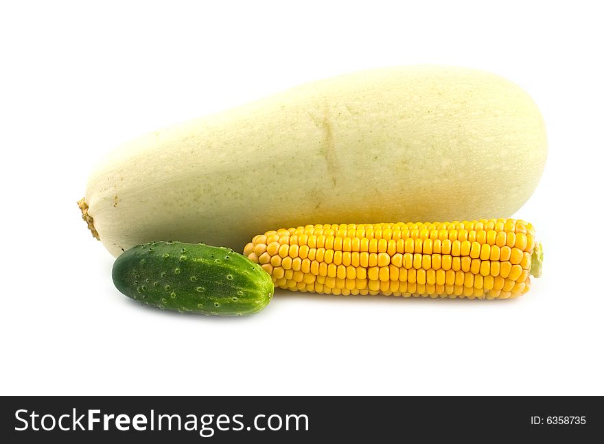 Vegetable marrow, corn and a cucumbers on a white background