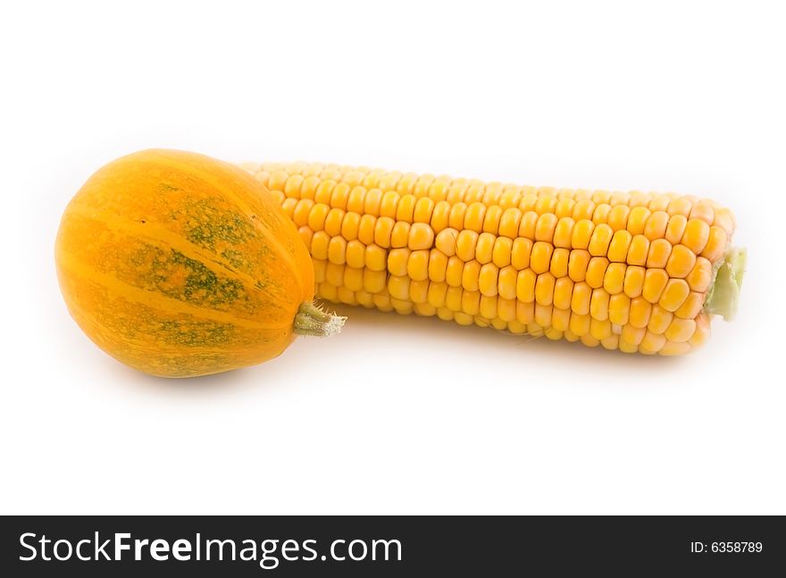 Yellow corn with a yellow pumpkin