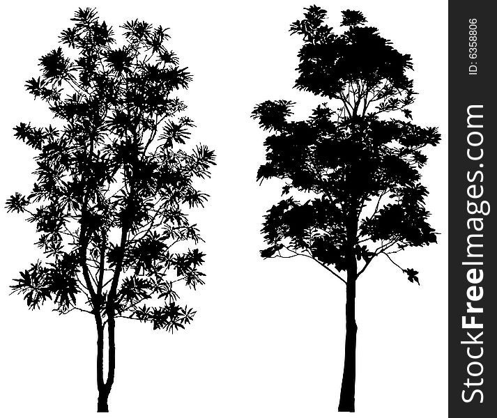 Silhouette of trees, vector art, detailed and very useful. Silhouette of trees, vector art, detailed and very useful