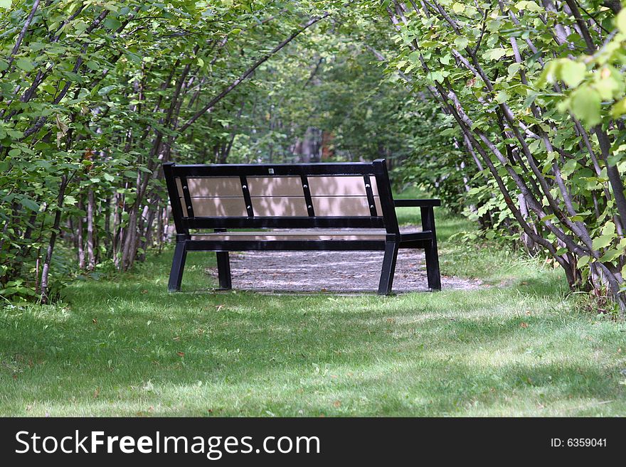 A bench in a nuts orchard
