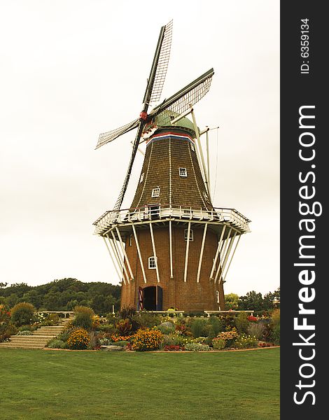 Dutch Windmill And Display Of Tulips