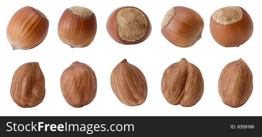 10 filberts (nuts) on white background (isolated).