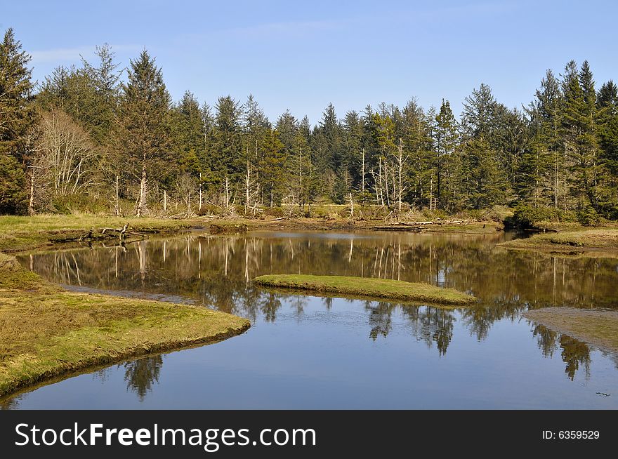 Small pond near beaches with clear blue sky and clouds and reflection