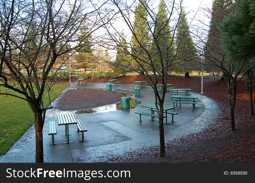 Benches in the park after rain in autumn