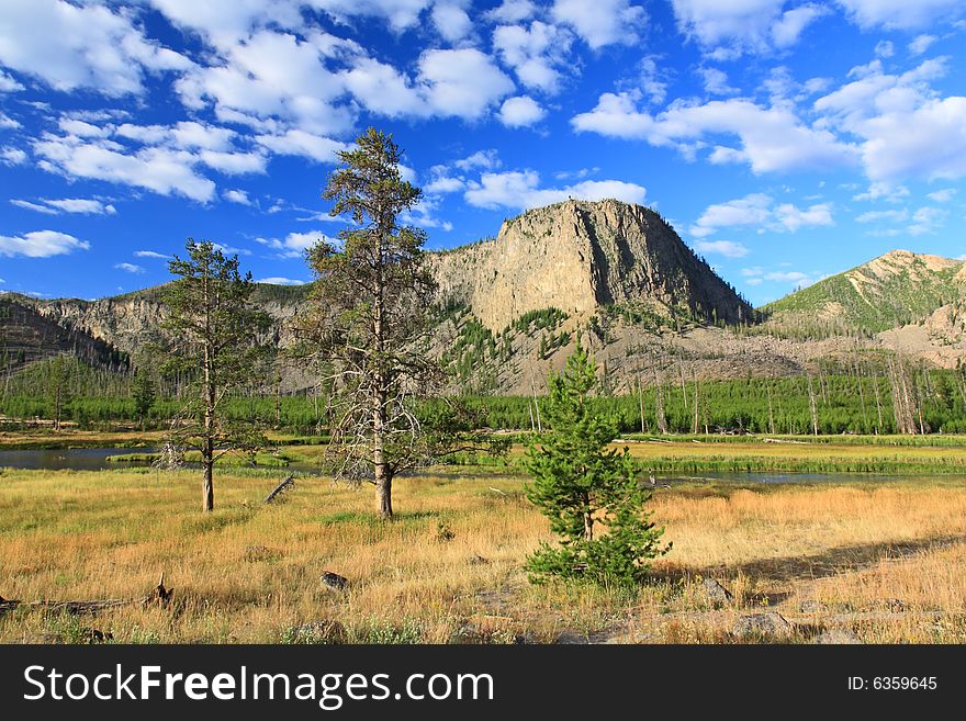 The Scenery Of Yellowstone National Park