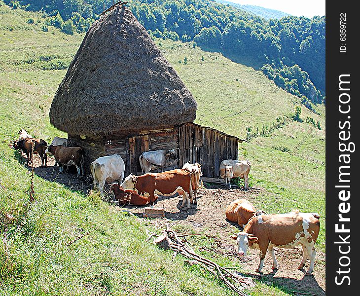 A wonderfull landscape in Apuseni Mountains Romania. A wonderfull landscape in Apuseni Mountains Romania