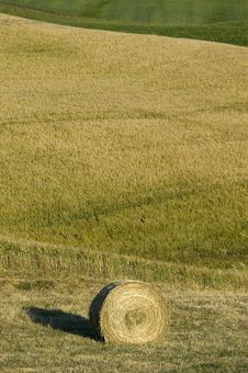 TUSCANY Countryside, Hayball Royalty Free Stock Image TUSCANY Countryside, Hayball Royalty Free Stock Image