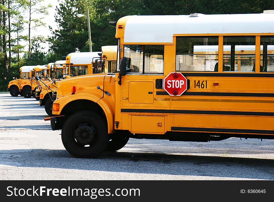 Rows of Yellow School Buses in a parking lot. Rows of Yellow School Buses in a parking lot