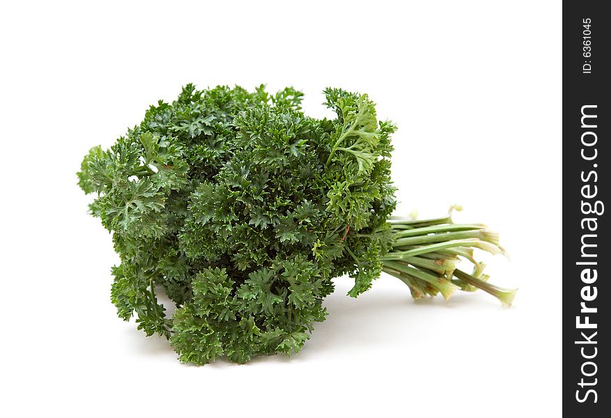 A large bunch of green parsley against white background.