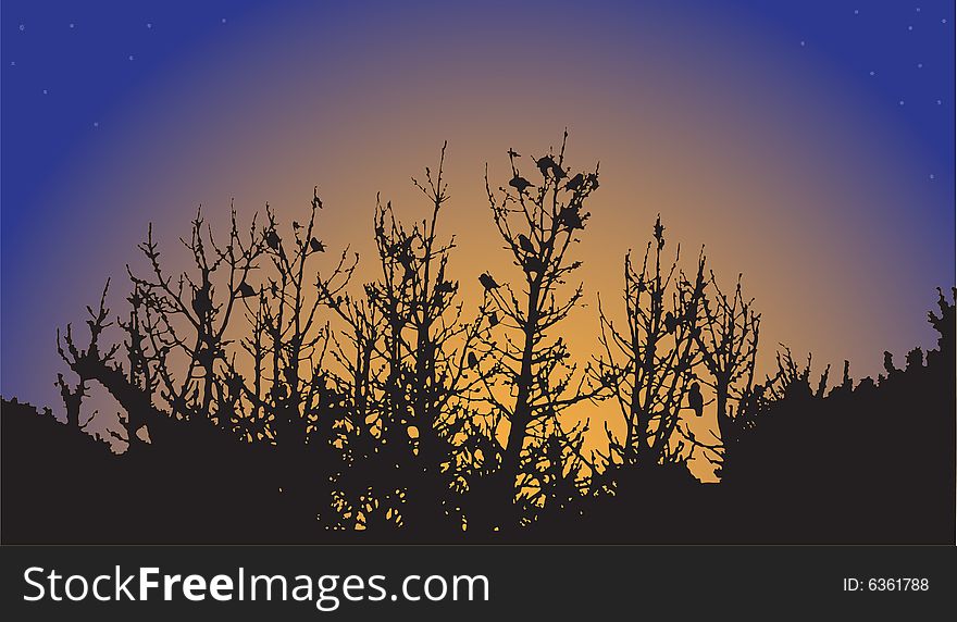 Silhouette tree with bird on sundown
