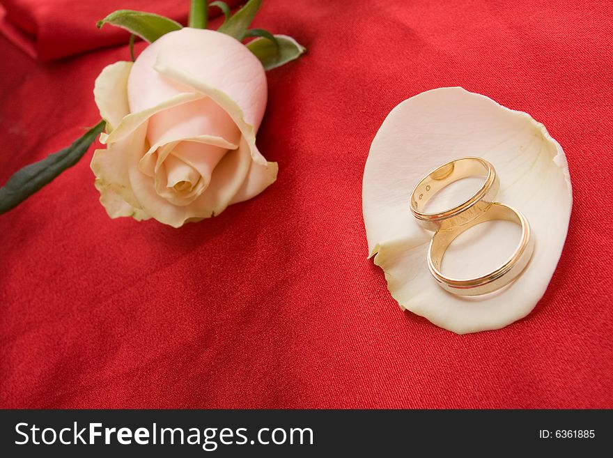 Wedding rings and beautiful rose