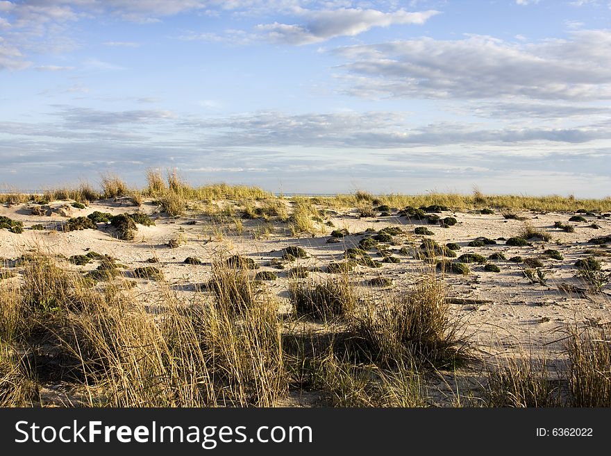 Sand Dune During Dusk