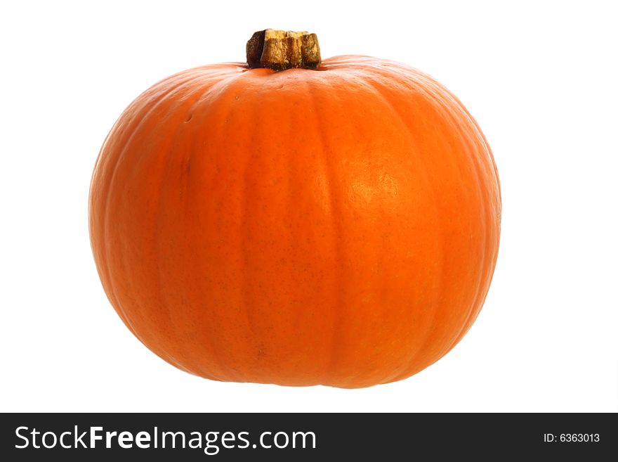 Single pumpkin for halloween, isolated on white