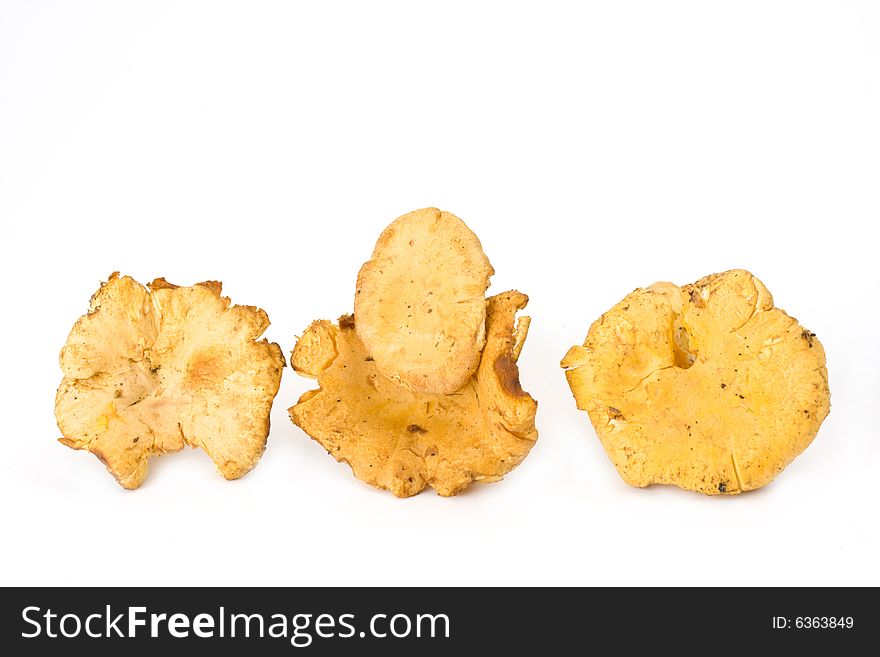 Fresh golden chanterelles isolated on white