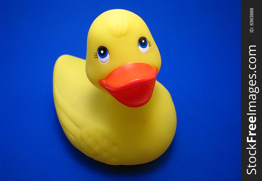 A rubber ducky on a blue background