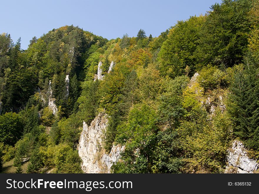 Autumn in the Carpathian mountains. Autumn in the Carpathian mountains