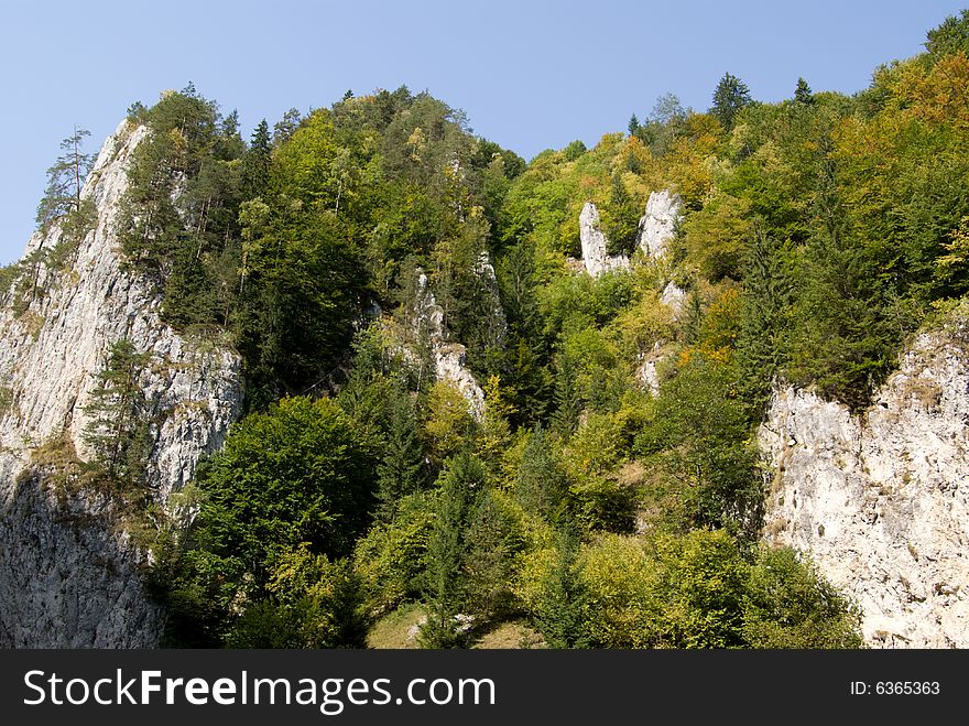 Autumn in the Carpathian mountains