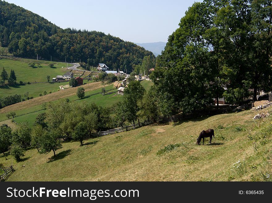 Summer mountainous green glade