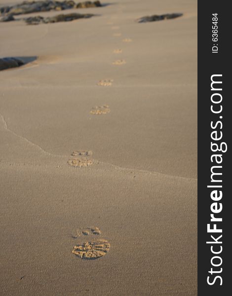 Shoeprints On Beach