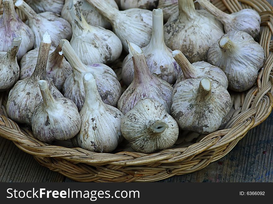 Fresh garlic in wooden basket hand made