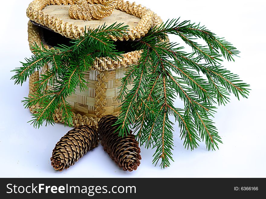 Green branch fir tree with pine cone and basket isolated. Green branch fir tree with pine cone and basket isolated
